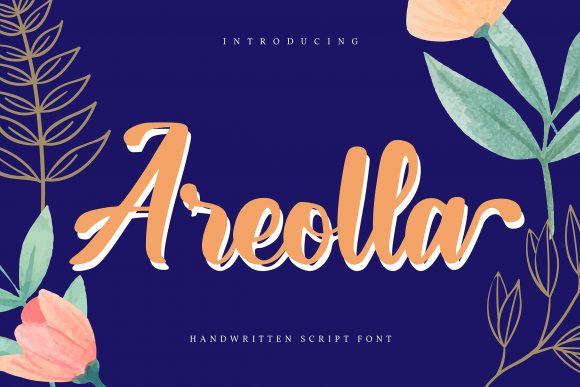 Areolla: A Modern Handwritten Font for Web Design