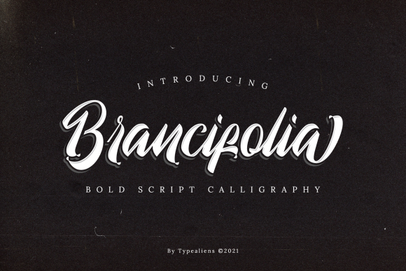 Brancifolia: A Bold Script Font for Professional Branding